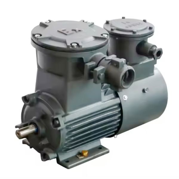 Custom-Made Explosion-Proof Three-Phase Asynchronous Motor with 50Hz Frequency and 22KW Power for Industrial Applications