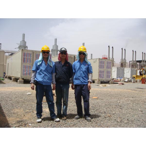 Sunkings Alternator Cummins Diesel Generator Container Gensets