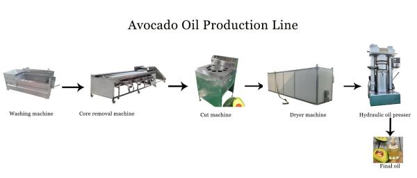 Máquina de pressão de óleo hidráulico de alta qualidade Máquina de extração de óleo de abacate Linha de óleo
