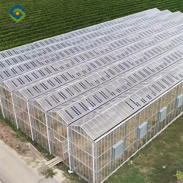 Agriculture Commercial Transparent Solar Panels Greenhouses  Energy Saving
