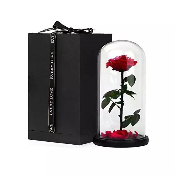 Real Preserved Rose in Glass Dome  use for Office gift or Home Decoration