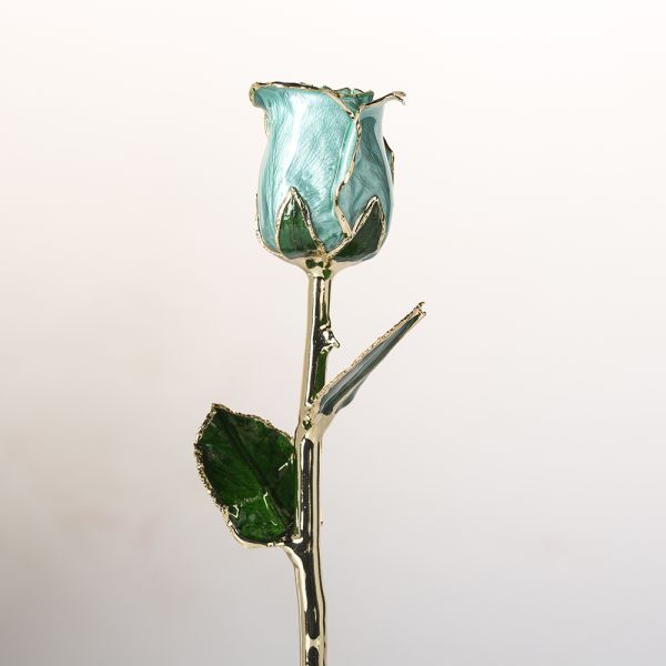 Gold Roses Real Natural Roses  with Stem   Preserved Flower Handmade Eternal Rose for Birthday Mother's Day Gifts