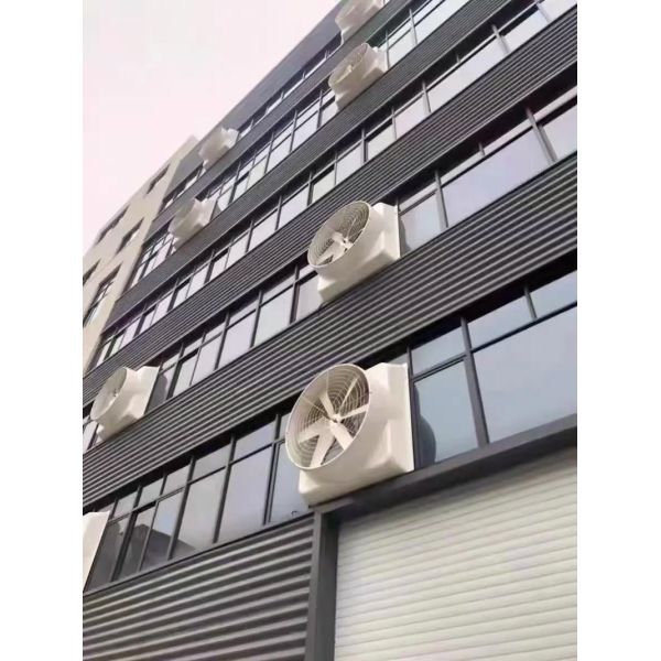 Electric FRP Wall-Mounted Exhaust Fan with Copper Wire Motor and IP55 Protection for Factory Workshop & Industrial Use