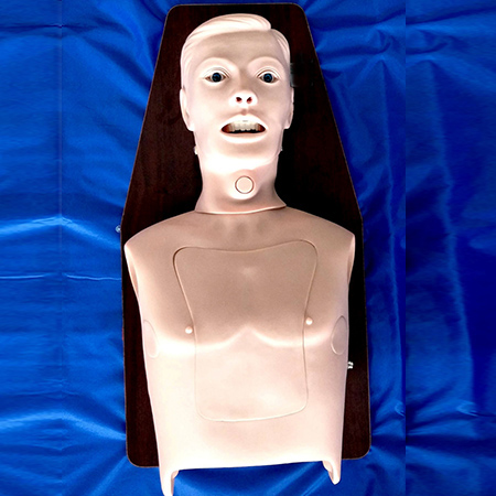 Adult Intubation Trainer Top Choice for Multi-functional Airway Management Training