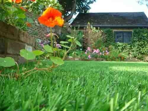 Green Recyclable Garden Artificial Grass For Decoration , Home Artificial Turf