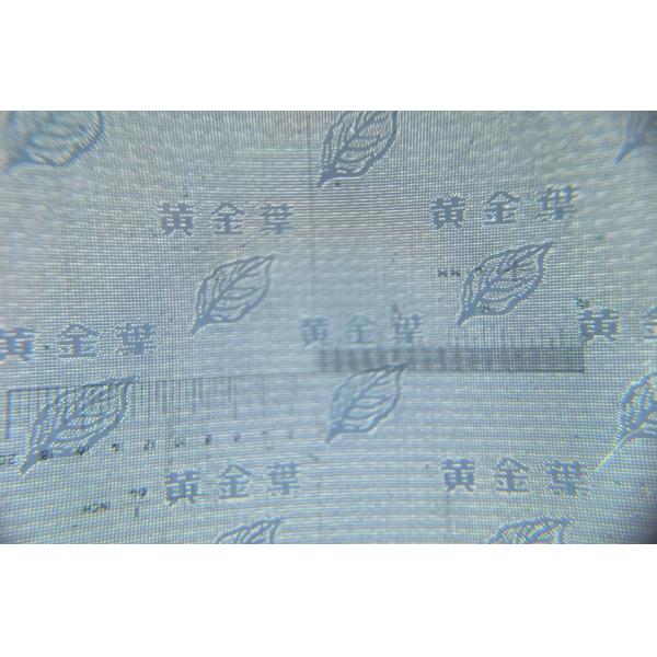 14x5.5x2.8m лакировочная машина 50 микронов алюминиевая, металлизируя лакировочную машину