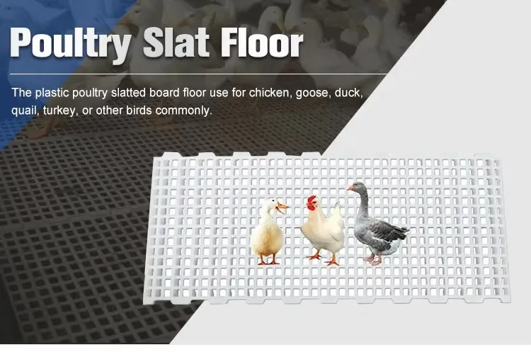 Quick Assembly Poultry Plastic Slatted Floor Chicken Farms Slat Flooring 1200x500x40mm