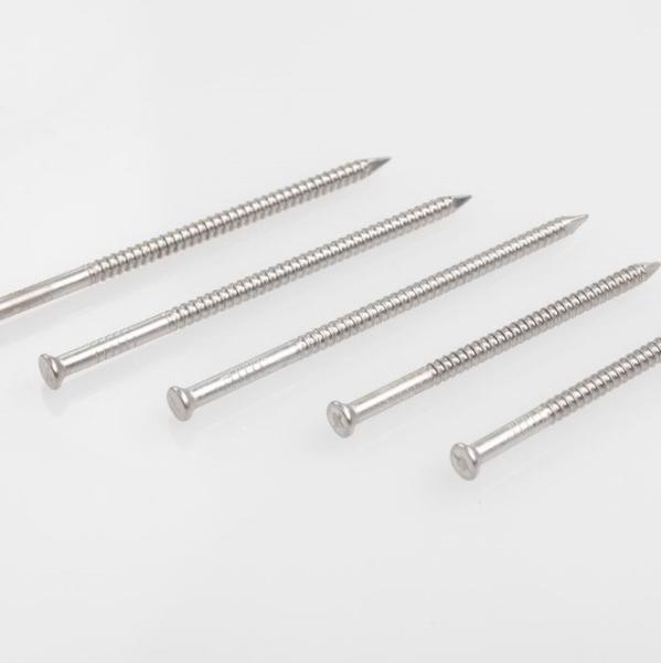 A2 / A4 tête de l'acier inoxydable Ring Shank Nails With Different pour le projet en bois