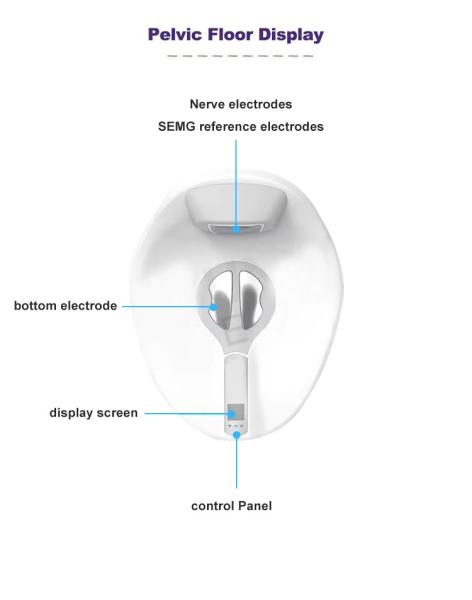 Foot Therapy Terahertz P90 P100 Foot Pemf Terahertz Therapy Device