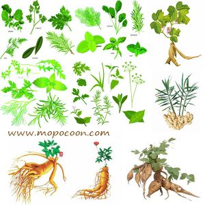 Natural Herbal Extracts