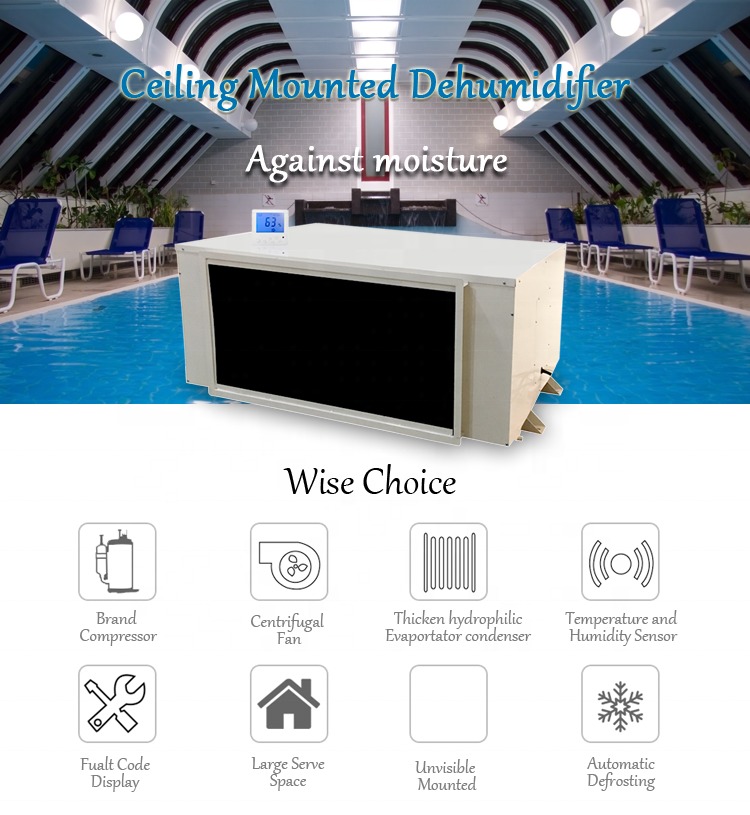 480L/D Factory Price Low Temperature Resistant Dehumidifier Big Capacity Greenhouse Laboratory Factory for Industrial