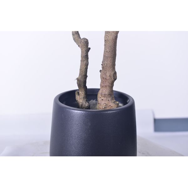 Wholesale Premium Artificial Olive Tree - UV Resistant Real Touch Leaves in 5FT 6FT 7FT for Hotel Lobby & Office Decor