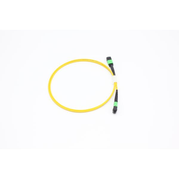 OM3/OM4 MPO Connector 12 Fiber MPO Trunk Cable 8/12/24F MTP MPO Cable For Data Center Room