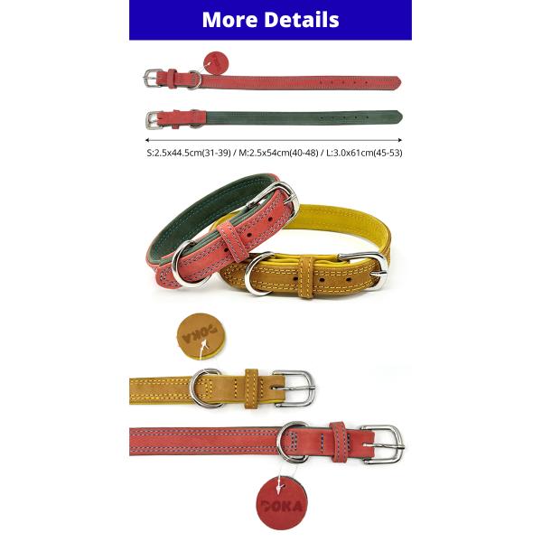 Collier pour animaux de compagnie en cuir véritable coloré – Élégant, durable, confortable