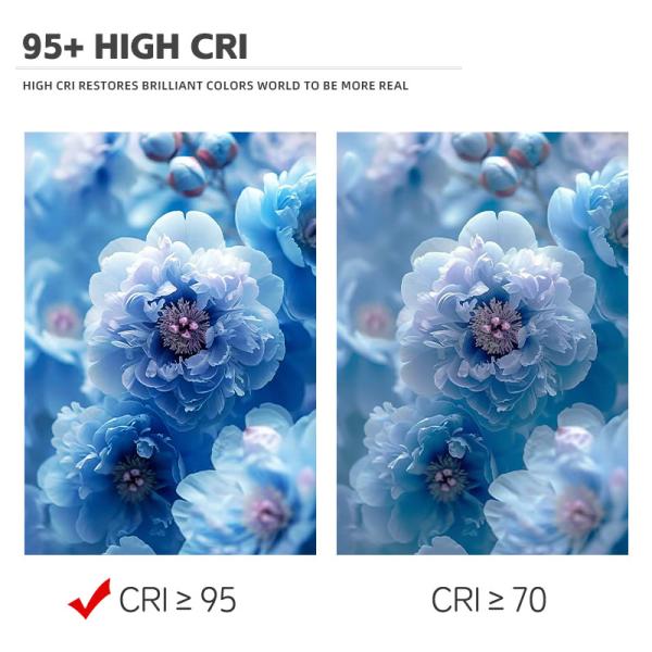 Высокопроизводительное бицветное 300W 6060 Flip Chip Custom Cob Led Chip для коммерческого светодиодного освещения