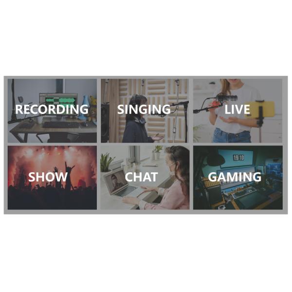 Wholesales ACD01 Professional Recording Noise Cancelling Professional Program Audio Dynamic Radio Microphone Factory OEM/ODM