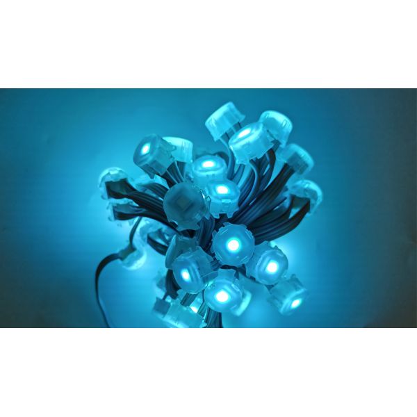 20mm 12V 0.3W SMD5050 IP67 Waterproof LED Point Light with 120° Beam Angle