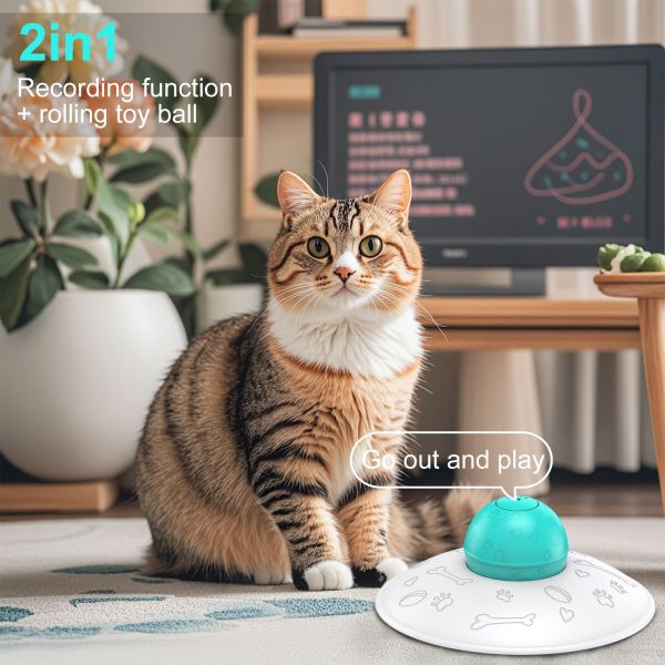 Interactive 3-in-1 Cat Dog Toy Durable Rechargeable Automatic Rolling Ball Eco-Friendly Plastic Lovely Stick Feather Wand