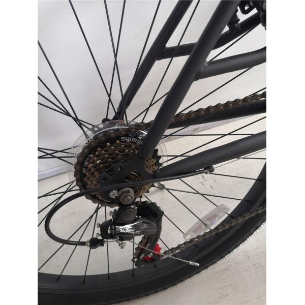 CE Certified Steel Frame 26 Shimano 7 Speeds Beach Cruiser Tandem Bike for Two Riders