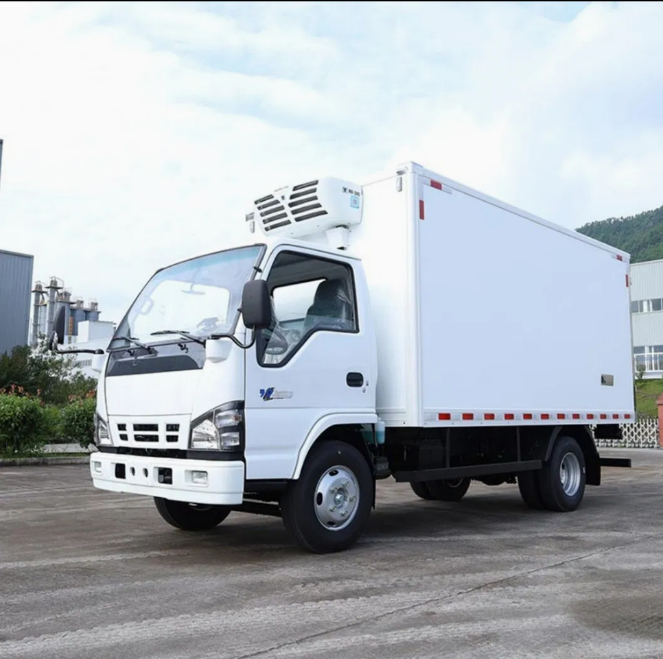ISUZU QINGLING 600P 6 wheeler 3 tons Refrigerated Van with THERMO KING refrigeration unit RV380 model