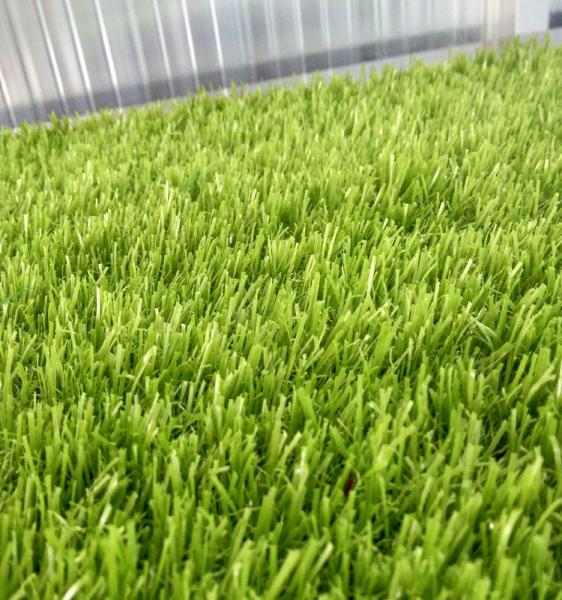 30mm 16800 Turfs Artificial Lawn Grass For Garden Man Made Balcony Planting