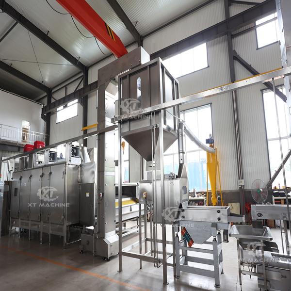 Full Automatic Peanut Roasting and Blanching Production Line for Nut Processing Plants