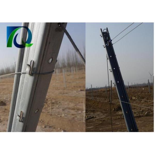 3.0mm U Type 275G Zinc Metal Orchard Trellis Post