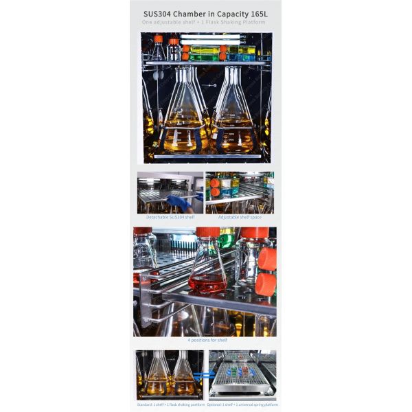 20 Liters Floor Incubator Shaker Orbit Lab Shaker Incubator ST-203R