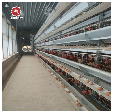Тип клетка h сельского хозяйства цыпленка клетки обрабатывать землю цыпленка батареи автоматическая