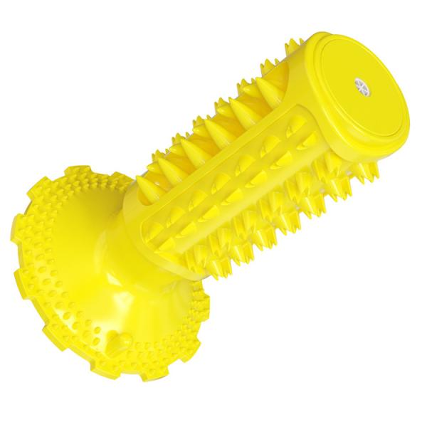 Professional Manufacturer Supply Classical Tpr Dog Squeaky Sounding Toothbrush Dog Interactive Toy