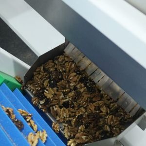 High-Throughput Walnut Kernel Sorting Machine Handles Large Volume Nut Processing With 8 Continuous Feed Lanes 720kg/h