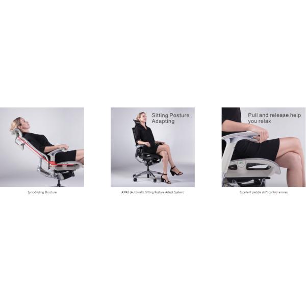 IFIT Black Ergonomic Desk Chair With Lumbar Support Adjustable Full Mesh