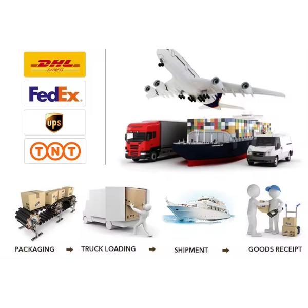 Custom Logo Printed Inflatable Bounce House with Double Slide and Customized Size