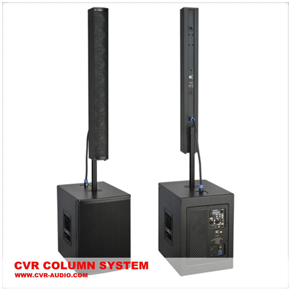 Single 10 Inch Active Line Array Speaker System Birch Plywood