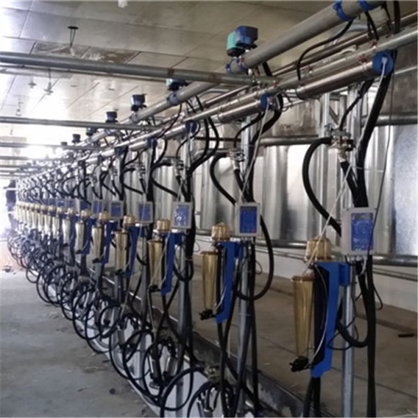 Milk Flow Meter Herring Bone Milking Parlor System CE ISO SGS FDA Certified Mobile Milking Machine