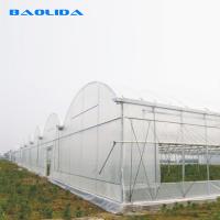 Plantas da agricultura que crescem o sistema de refrigeração da estufa de Multispan com ventilação superior/lados