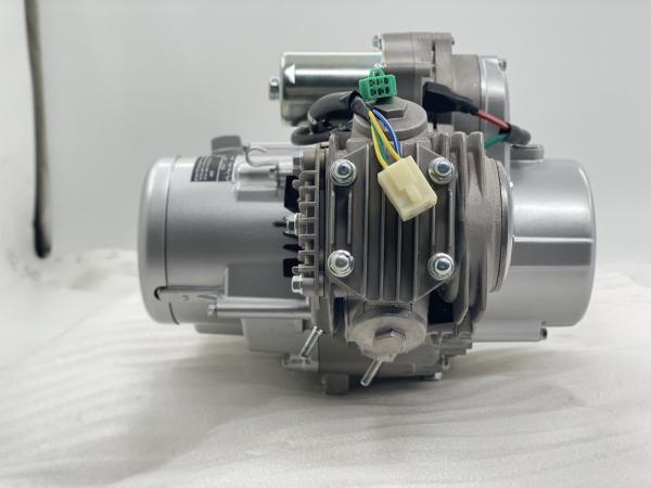 110CC 4 Stroke DAYANG Tricycle Motorcycle Engine with Dual Clutch and Electric/Kick Start