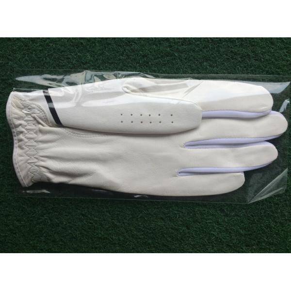golf glove , golf gloves