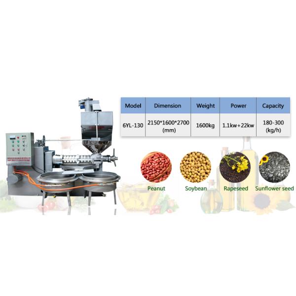 машина прессы арахисового масла машины прессы масла винта силы 22кв холодная гарантия 1 года