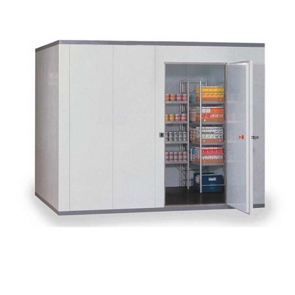 Armazém da sala fria de economia de poder com umidade - impermeabilize a luz fria