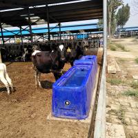 Réservoir d'eau pour bétail de 4 m, durable, 300L, en PEHD