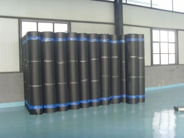 Double Screw  Water Drainage PE Sheet Extruder Line