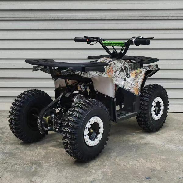 125CC ATV 4 Wheeler Quad Motorcycle with 8inch Tyre and Front Disc Rear Disc Brake System