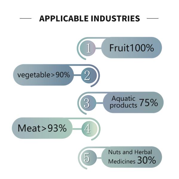 8kg/Time Vacuum Frying Machine For Vegetable And Fruits Low Temperature