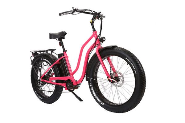 26Inch 48V 500W Long Range Ebike Shimano Tektro Disc Brake System