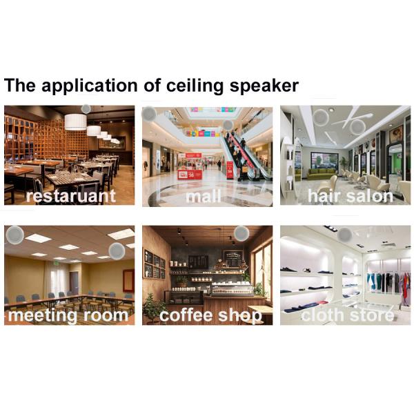 High Quality 5-inch 20/10/5/2.5w/8ohm Coaxial Ceiling Speaker Hi-fi ABS Enclosure