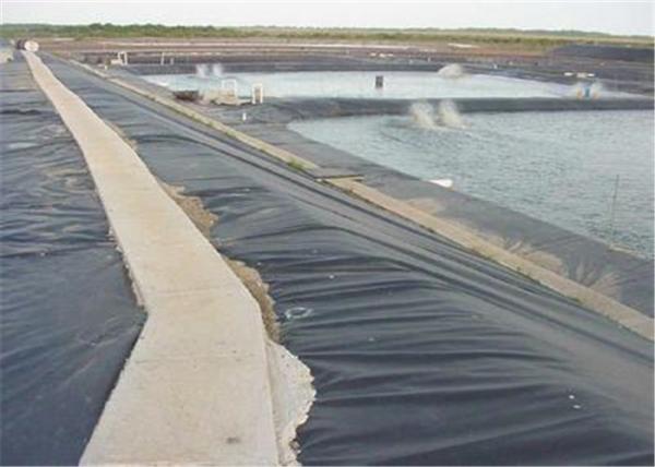 Water Proof Hdpe Geomembrane Liner Thickness 0.3mm-3.0mm
