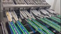 Sortador automático de colores de anacardos con transportador de cadena, rotación de 360 grados de la nuez y detección de defectos controlada por computadora