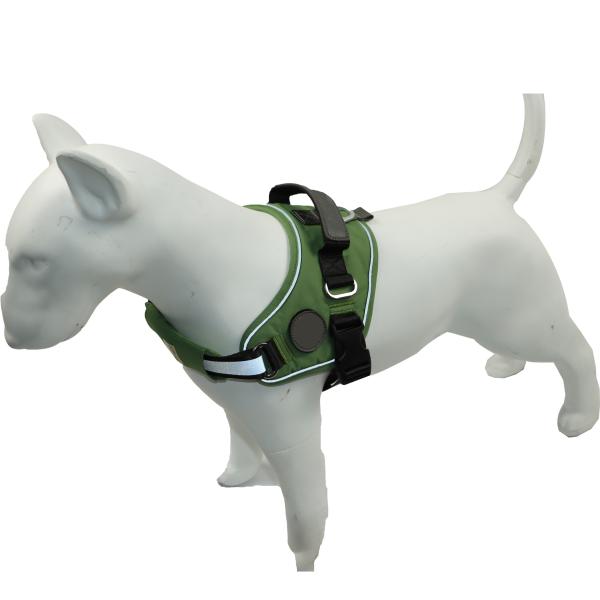 На открытом воздухе прочная проводка собаки для проводки собаки зеленого цвета бигля черной дополнительной большой персонализировала