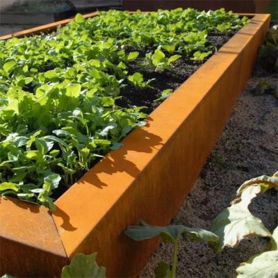 Bordas decorativas de jardim de metal enferrujado de aço corten